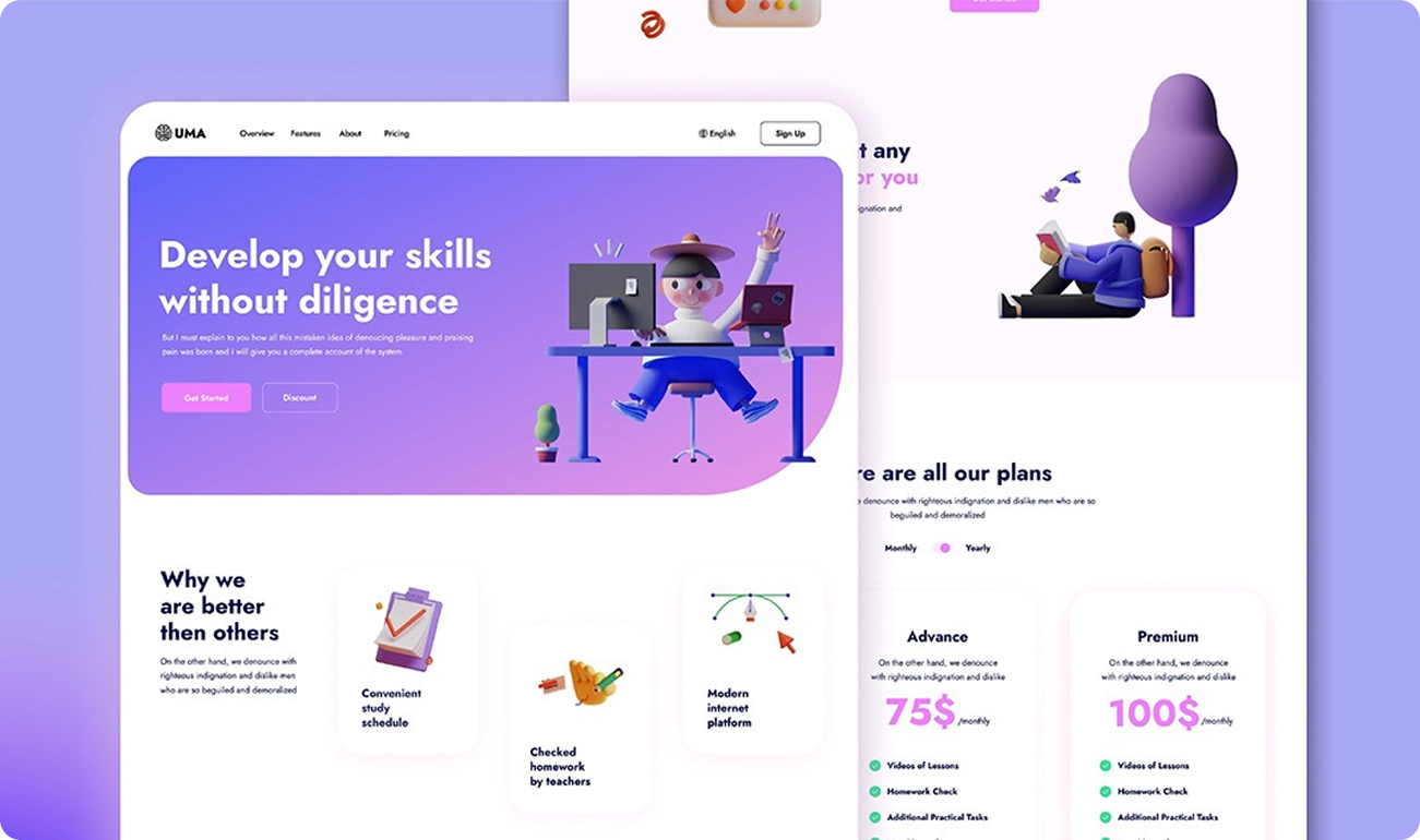 Web design project presentation