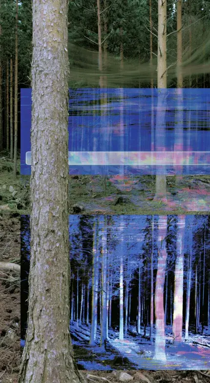 Forest installation